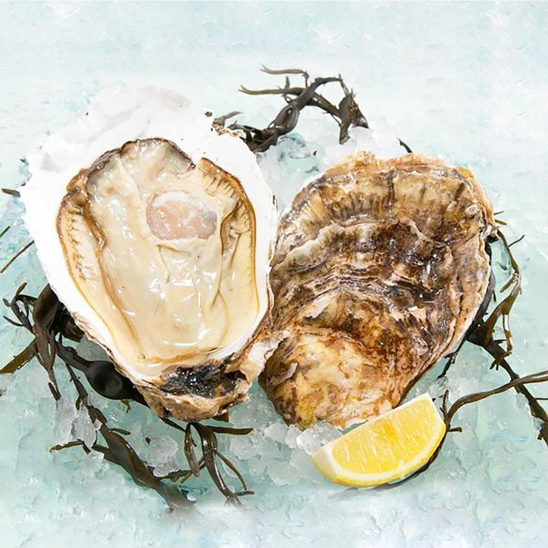 USA Pacific Oyster - Jumbo  (1pc)