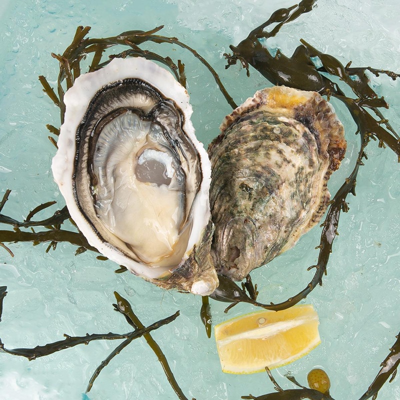 TARBOURIECH French Tarbouriech Speciale Oyster  (1pc)