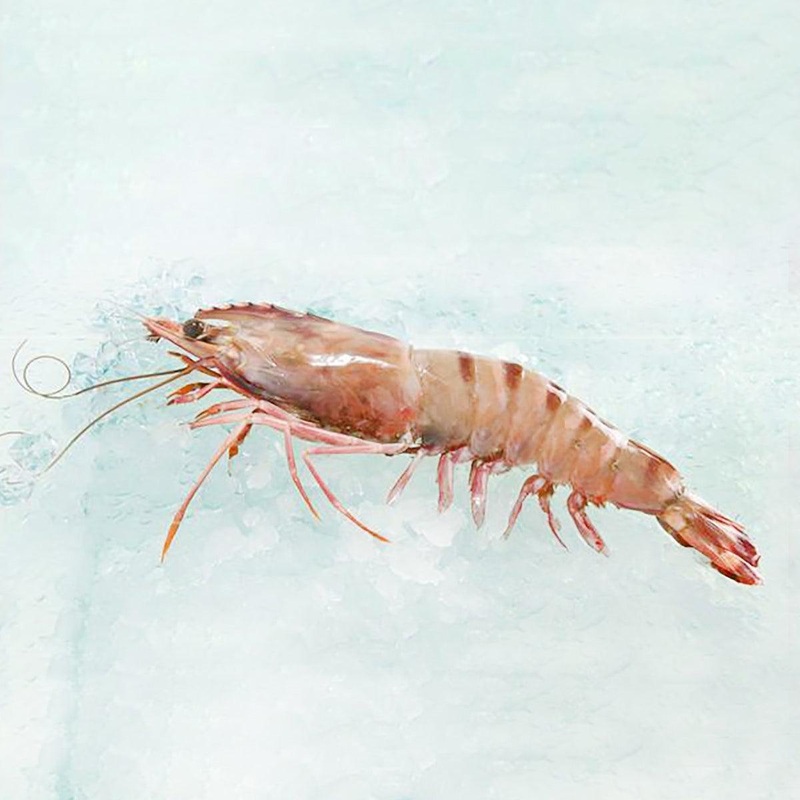 SKULL ISLAND Australia Tiger Prawn - Ocean Caught [Previously Frozen]  (300g)