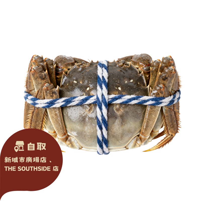 Ng Fung Jiangsu Hairy Crab
