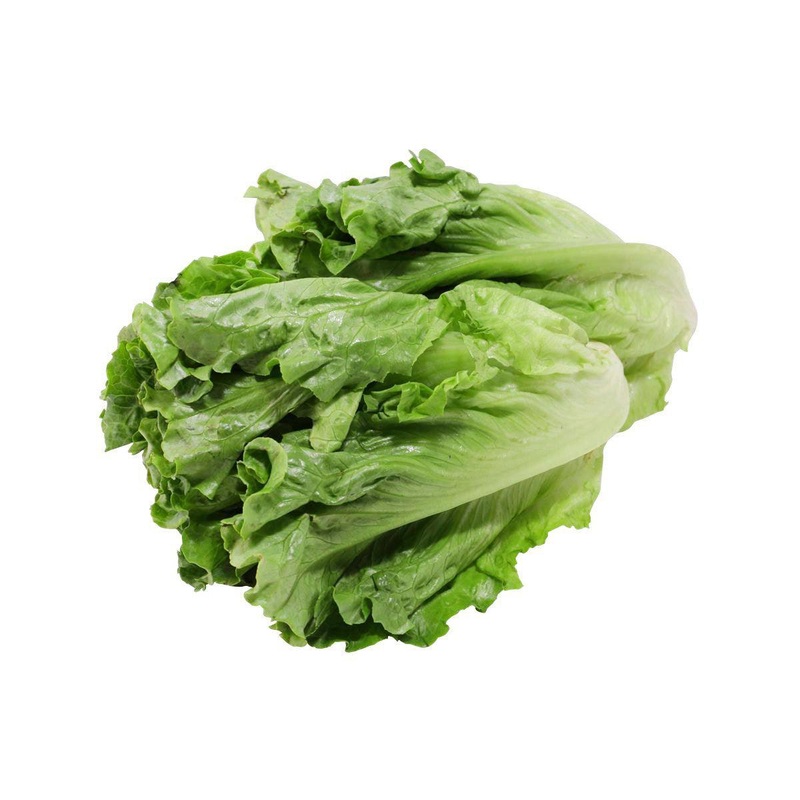 China Yunnan Baby Lettuce  (1pack)