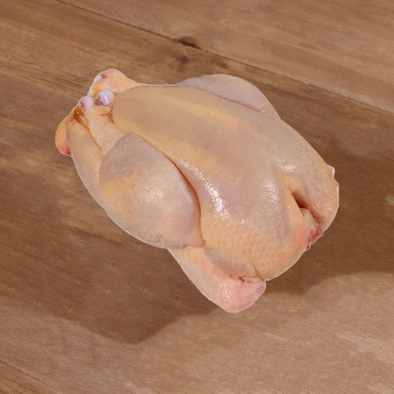 CITYSUPER French Frozen Free Range Yellow Spring Chicken  (1pc)
