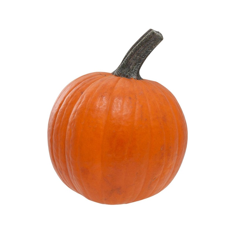 USA Pumpkin - Pamper'd  (1pc)