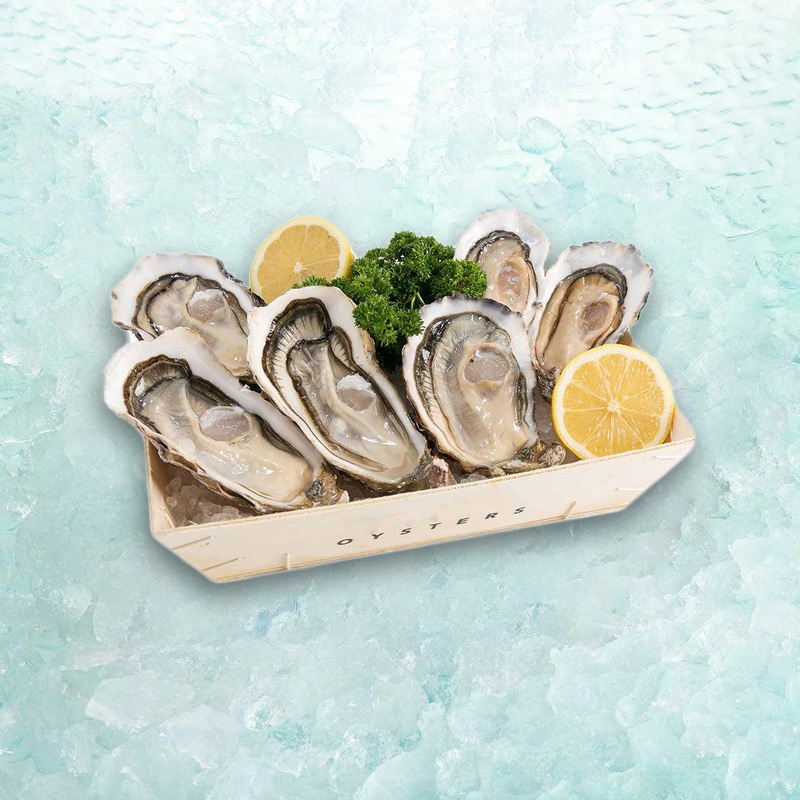 Oyster Set F (1set)