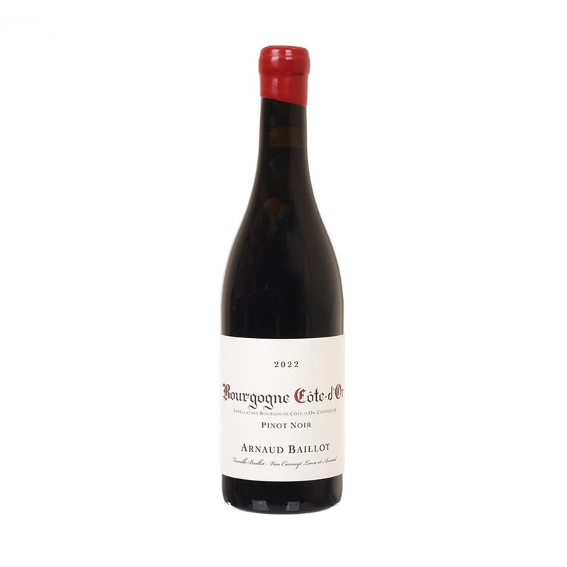 ARNAUD BAILLOT Bourgogne Cote d'Or Rouge 22 (750mL)
