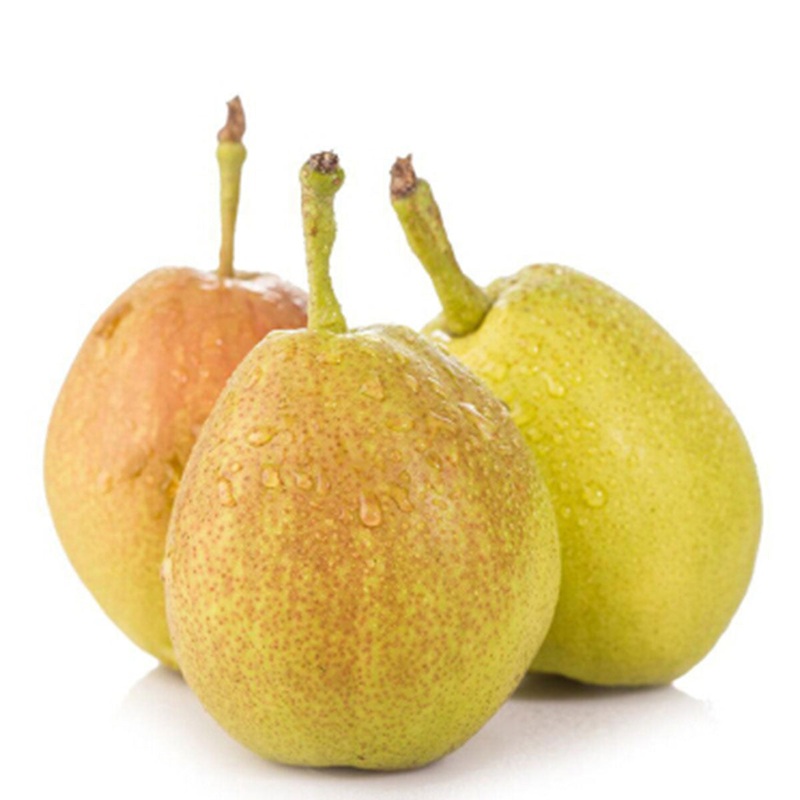 FRAGRANT PEARS