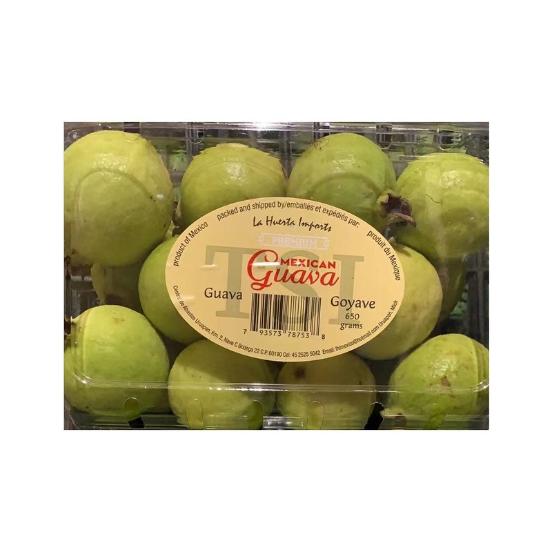 GUAVA IN BOX