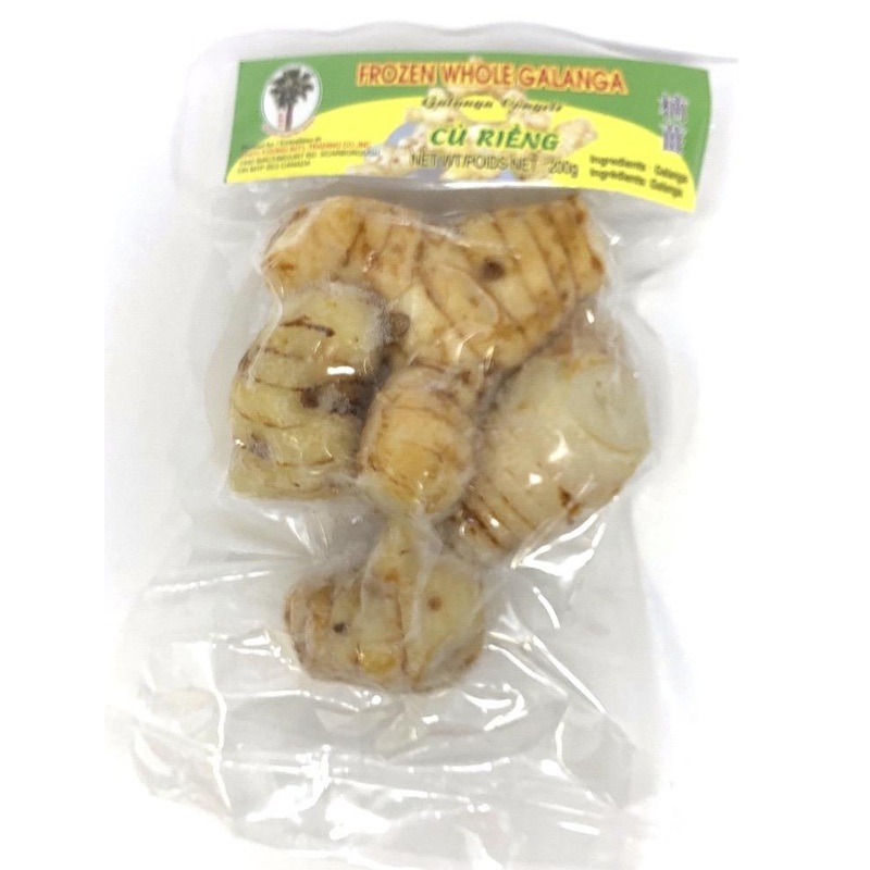 Plam Tree Whole Galanga