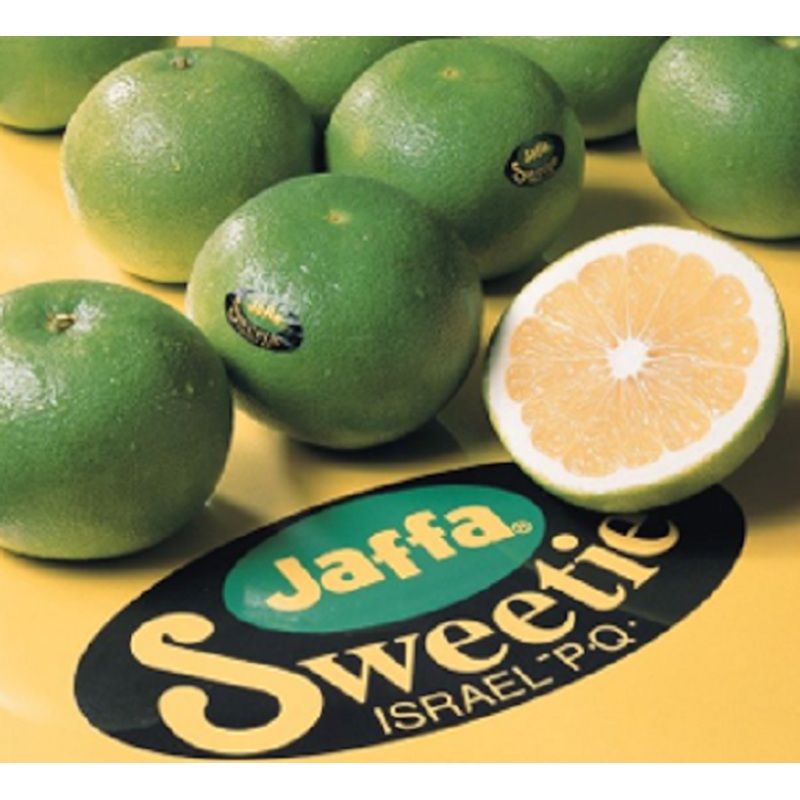JAFFA GOLDEN POMELO