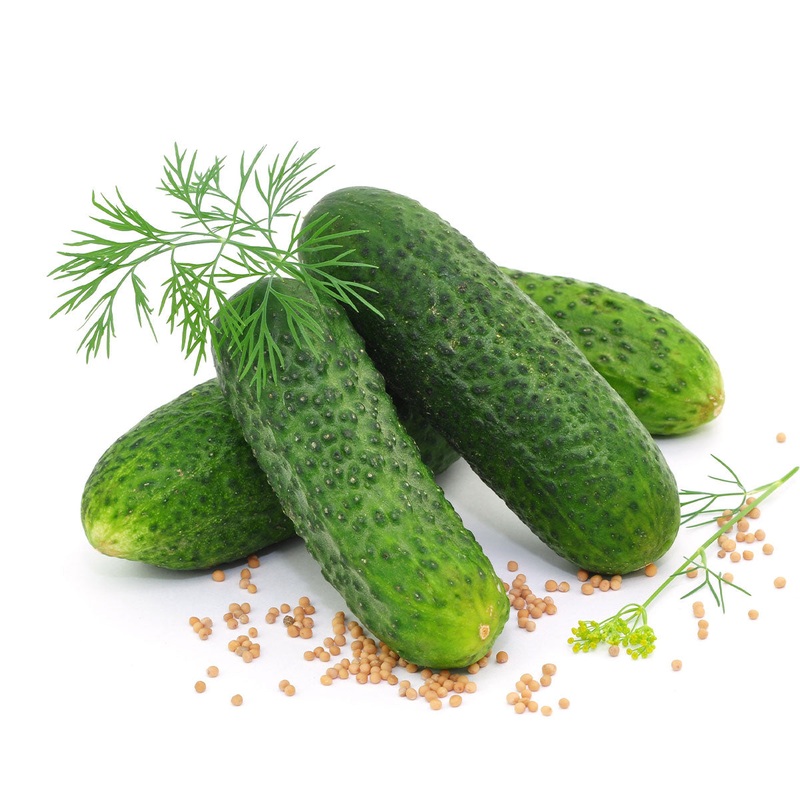 Dill CUCUMBER