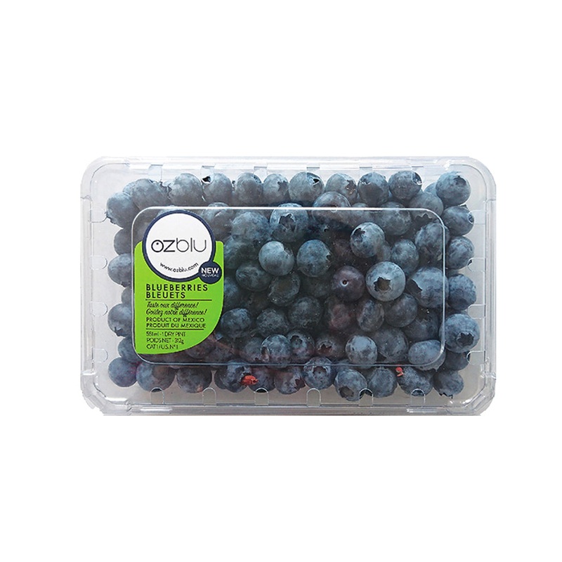 Jumbo Blueberries