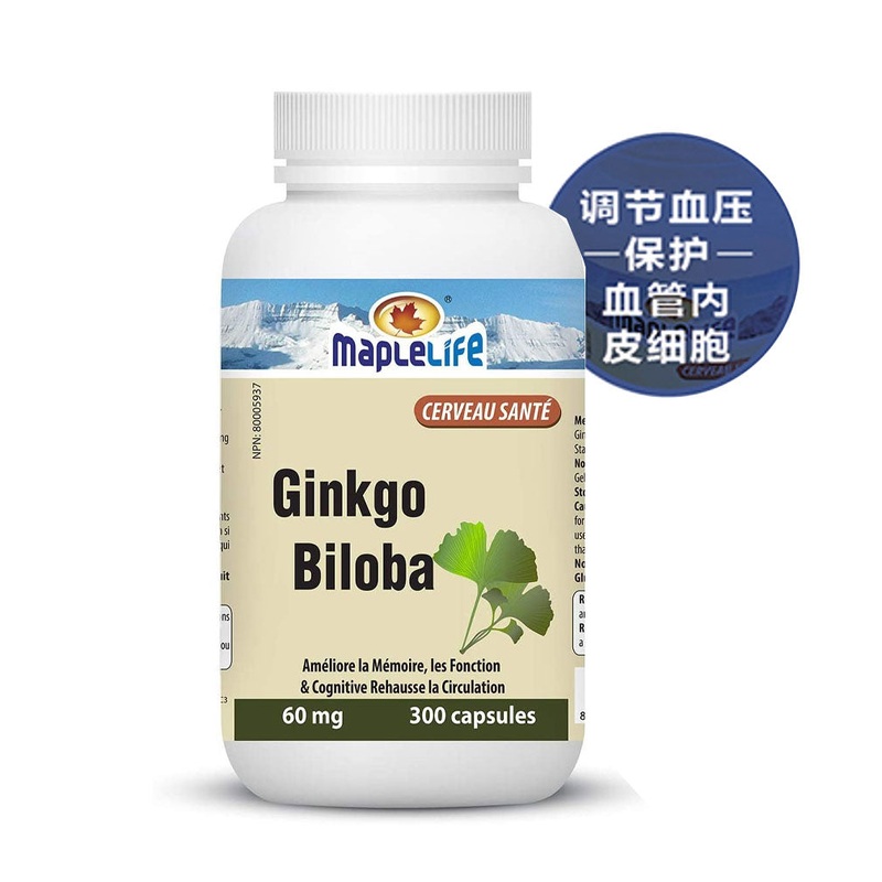 GINKGO BILOBA